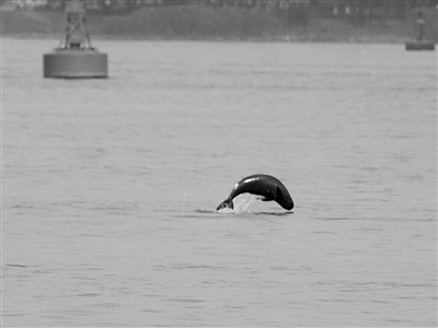 xingkong.com-山中访友阅读答案