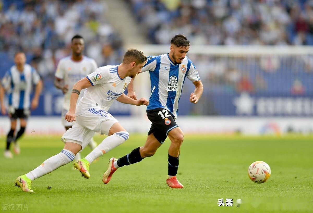 xingkong.com-德甲升班马夺冠奇迹