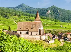 xingkong-法国杯今夜走向成谜；新奥尔良鹈鹕回应争议；信心回归；阵容厚度经受考验(王牌对王牌郭麒麟)